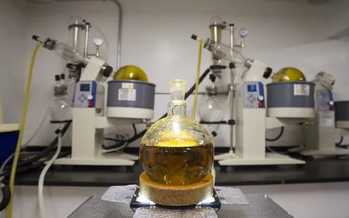 Extractie - processtap Cannapopolis